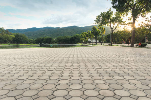 Best Concrete Paver Driveway  in Lincoln Park, NJ
